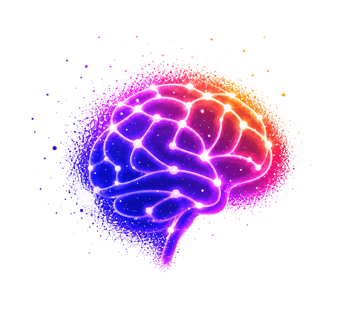 Creators Brain